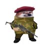 the_rogue_doge 🇬🇧 profil fotoğrafı
