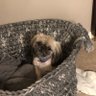 Bradleyboy profil fotoğrafı