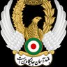 Amir's profile picture