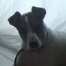 Litos's profile picture