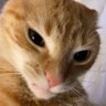 rola bosta profil fotoğrafı