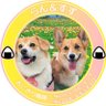 ちー profil fotoğrafı
