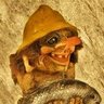 Profilbild von Trawling Troll
