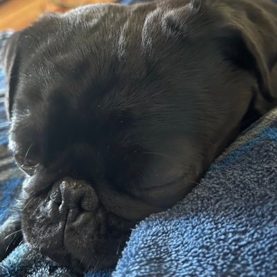 ryandavid570's profile picture