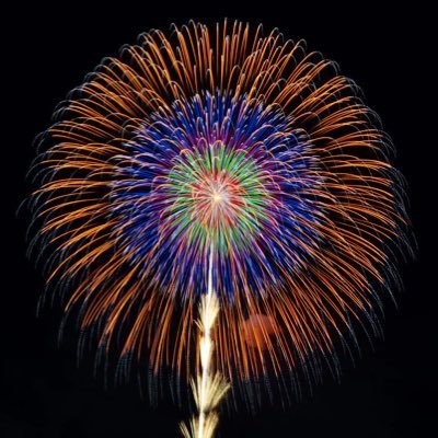 yamazaki_enka's profile picture