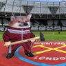 Paul Knight 🇫🇮🏴🇺🇦🇬🇪🦈🏴☠️ profil fotoğrafı