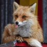 Pablo Rochin's profile picture
