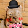 さくらい【きょんくま部】(推しQ) 的头像