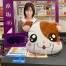 Profilbild von はむたろ