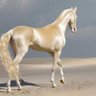Фото профиля ahmed bakeer