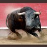 Jorge Alvarez's profile picture