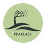 peaklass 的头像
