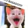 Фото профиля Gato Basado🔍