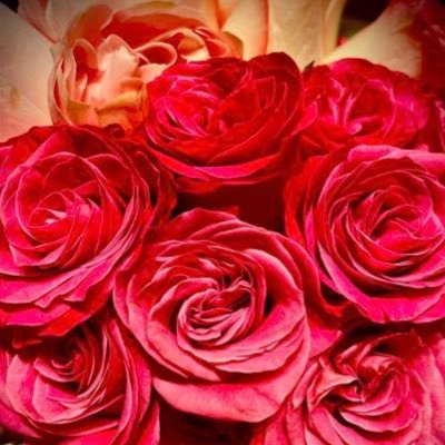裕子's profile picture