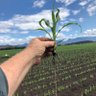 Total fertiliser Australia 的头像