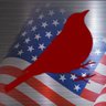 Profilbild von Robin ❤️🇺🇸👈✡
