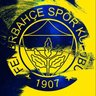 Fanatikleştirilmiş Fenerbahçeli profil fotoğrafı