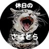 Фото профиля 休日のシン.さばとら🐾໊(和楽家グループ)