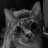 Nini profil fotoğrafı