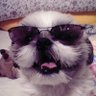 まっく profil fotoğrafı