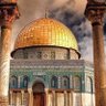 محمد الراشدي 的头像