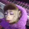 riri amarga's profile picture