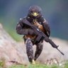 Profilbild von Uiso Barikij