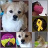Slyz0fLife💛💝💖 profil fotoğrafı
