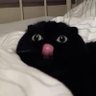 Profilbild von Lorenzo