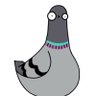 Motivational Pigeon profil fotoğrafı