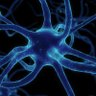 neuronmusk 🌐 🧠 的头像