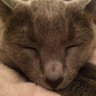 Jacqueline's profile picture
