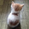 ごんた⊿'s profile picture