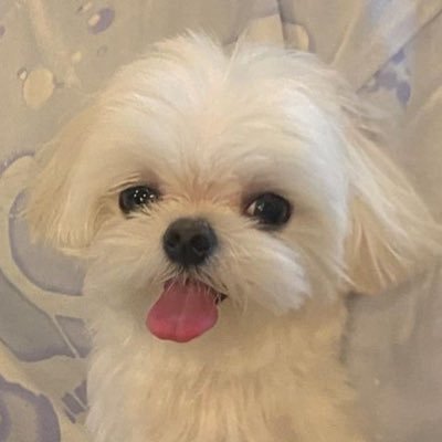 ᴹᴿ ᴷᵁᴿᴵᴹ's profile picture