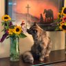 Cait M. F. profil fotoğrafı