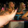the pop culture enthusiest's profile picture