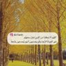 عدنان الحسني's profile picture