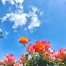 福山 profil fotoğrafı