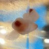 Фото профиля 海のさち
