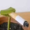 ?🅾️F®️i-אֶקְס דִי 的头像