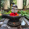 Sivayanama profil fotoğrafı