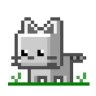 8-bit kitty profil fotoฤrafฤฑ
