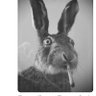 Name Cannot Be Blank's profile picture