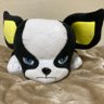 きなこもち蔵's profile picture