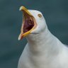 DrNat's profile picture