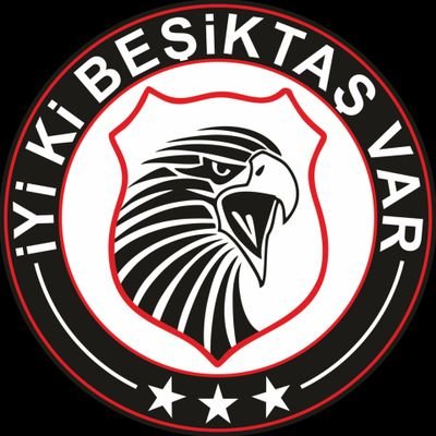 iyi ki Beşiktaş var's profile picture