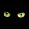 Mustapha Lazhar's profile picture