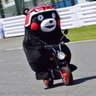 こたん's profile picture