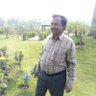 BRIJENDRA SINGH profil fotoğrafı