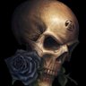 Фото профиля Steve R